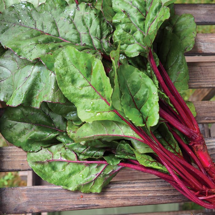 Beetroot clearance leaves benefits